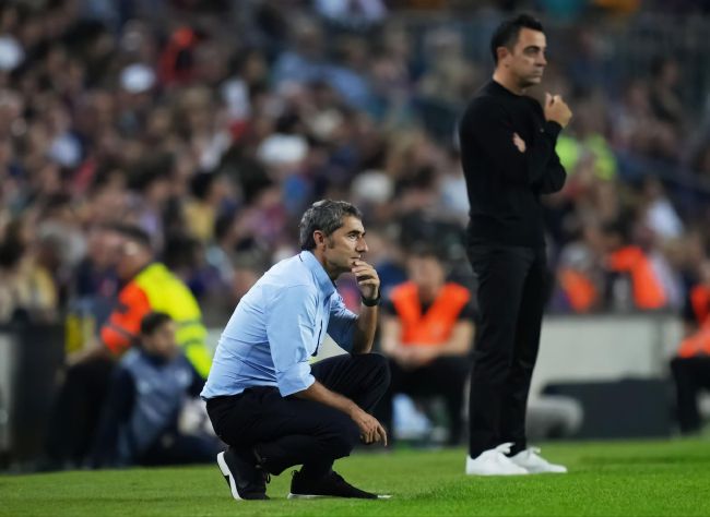日本欧美久久久久免费播放网