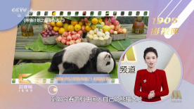 成人福利院